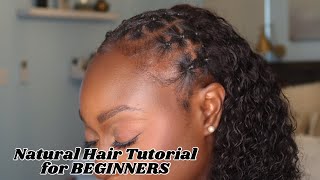 EASY Natural Hair Tutorial for BEGINNERS [upl. by Orel953]