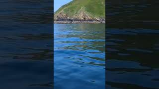 The coastline near Polperro Cornwall [upl. by Kahlil]