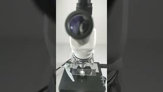 After seeing black coffee magnified 400 times do you still like it？ microscope science shorts [upl. by Winnick261]