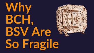 Why BCH and BSV Are So Fragile [upl. by Nodnarb]