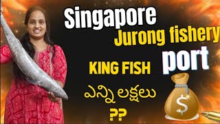 Fishery port  SeafoodMarket Singapore Market Lifestyle vlog Fresh catch 🐟🐠🎣🐡 [upl. by Mayor]