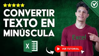 Cómo CONVERTIR un TEXTO EN MINÚSCULA en Excel  🔠 Con y sin Fórmula 🔡 [upl. by Peppie56]