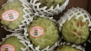 Atemoya Fruit trying it for the first time🤤 [upl. by Mora]