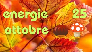 ENERGIE ⚡ 25 OTTOBRE 🍄🌰 [upl. by Sullecram]