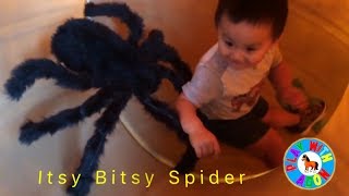 Itsy Bitsy Spider Nursery Rhyme song for children  Kids scary Spider at Park  Big Spider toy [upl. by Motch284]