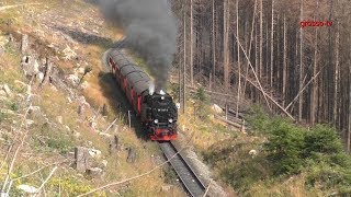 Bergfahrt mit der Harzer Schmalspurbahn zum Brocken [upl. by Aneerhs510]