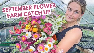 September Flower Farm CatchUp Sowing Hardy Annuals Selling Flowers amp More [upl. by Reifnnej]