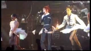 Mylene Farmer Tournee 2009 live Russia pt4 [upl. by Gurtner]