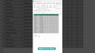 Filtrowanie danych excel filtrowanie filtr office [upl. by Laden312]