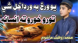 Pashto New HD Naat Sharif By Muhammad Sohaib 2020 [upl. by Olenolin295]