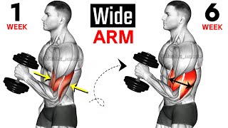 Full Arms Exercises with Dumbbells  Biceps and Triceps  🦾🦾 [upl. by Merrill]