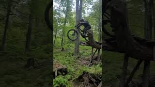 MTB bike ride mtb bike biker shortvideo [upl. by Aynekal]