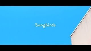 Homecomings  Songbirds（Official Music Video） [upl. by Haase761]