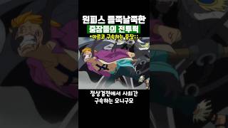 원피스 전투력이 너무 들쭉날쭉한 중장들 [upl. by Ephrem152]