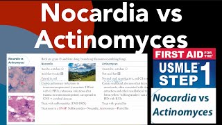 Nocardia vs Actinomyces in HindiUrdu by first aid for USMLE step 1 [upl. by Saltsman]