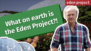 The Eden Project A Sustainable Paradise in the Heart of Cornwall [upl. by Xenia415]