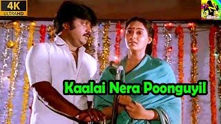 காலை நேர பூங்குயில்  Kaalai Nera Poonguyil Video Song 4K  Amman Kovil Kizhakale  Ilayaraja Hits [upl. by Fredkin]