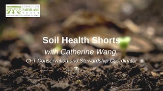 Soil Health Shorts Cato Corner Soil Health Practices [upl. by Aramak810]