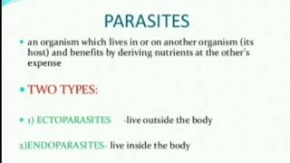 Parasites Ectoparasites and Endoparasite [upl. by Attenat448]