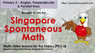 Primary 3 Angles perpendicular amp parallel lines [upl. by Skeie]