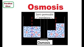 Osmosis amp Its Types  Basic Biology Topic  UrduHindi Dubbed  Pardhai Ghar [upl. by Renba]