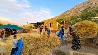 Completing Milad amp Mahins House Roof and Harvesting Wheat with Amirs Family [upl. by Pompea]