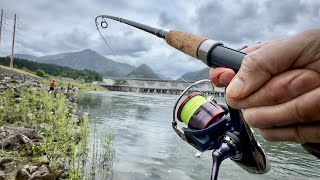 Daiwa Fuego LT 4000DC Review  2024 Early Season Shad Fishing Bonneville Dam Washington [upl. by Aldous]