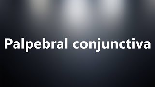 Palpebral conjunctiva  Medical Definition and Pronunciation [upl. by Clarey892]