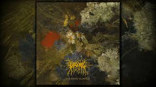 Lascar  Equinox Flower Full album [upl. by Aetnahs]