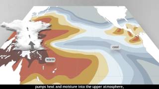 Understanding La Niña [upl. by Eenert860]