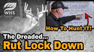 How To Hunt The Dreaded Rut Lock Down [upl. by Moritz]