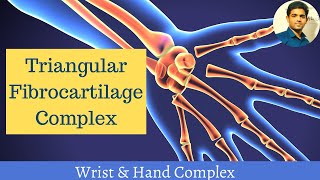 Triangular Fibrocartilage complex  Wrist and Hand Complex [upl. by Shalne]