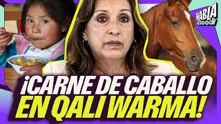 ¿VOLVEMOS A LA VIRTUALIDAD EDUCACIÓN en CRISIS  QALI WARMA ¿CARNE DE CABALLO  Habla Good [upl. by Hanshaw]