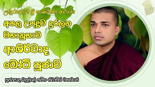 Ashirwada Bodhi Puja  මහානුභාව ආශිර්වාද බෝධි පූජාව bodhipooja bodhipuja gatha [upl. by Neleag655]