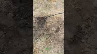 Pt 1 of making a pit bike track pitbikes motocross [upl. by Karilynn]