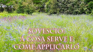 il sovescio a cosa serve e come applicarlo [upl. by Iur]