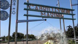 Cabrillo Way Marina ⚓️ sanpedroca walkingvideo relaxing marina goodvibes [upl. by Jari207]