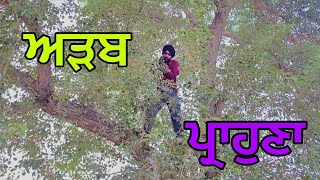 ਅੜਬ ਪ੍ਰਾਹੁਣਾ  ADAB PARAHUNA  Punjabi Short Movie  BEEBA BOYS [upl. by Ecertal]