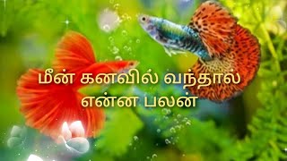 மீன் கனவில் வந்தால் என்ன பலன் meen kanavil vanthal Enna Palanfish dreams [upl. by Arnoldo78]