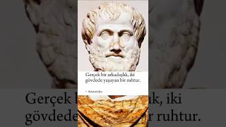 Aristoteles Gerçek bir arkadaşlıkfelsefeshorts [upl. by Esilehs]