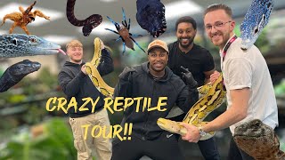 Crazy Reptile Shop Tour😱 [upl. by Christianson264]