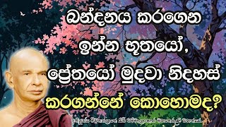 බන්දනය කරගෙන ඉන්න භූතයෝ ප්‍රේතයෝ ඉන් මුදවා නිදහස් කරගන්නේ කෙසේද [upl. by Solhcin]