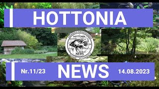 Hottonia NEWS 1123 vom 14082023 [upl. by Danforth]