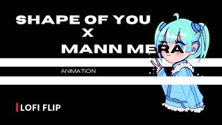 Shape Of You X Mann Mera Slowed  Reverb By animeation07 [upl. by Garwin599]