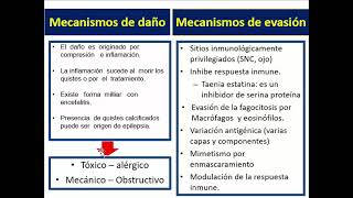 CC Parasitología Médica Neurocisticercosis [upl. by Grobe]