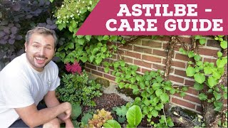 Astilbe Care Guide  7 Easy Steps [upl. by Greene]