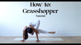 How to do Parsva Bhuja Dandasana Grasshopper Pose  Yoga with Katrina [upl. by Deidre]