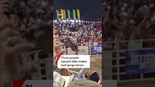 Three people injured after rodeo bull jumps fence [upl. by Starobin836]