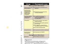 cholinergic antagonistscopolamine [upl. by Nerrat]