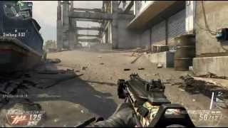 Black Ops 2  Mein erster Schwarm [upl. by Ardnoek280]